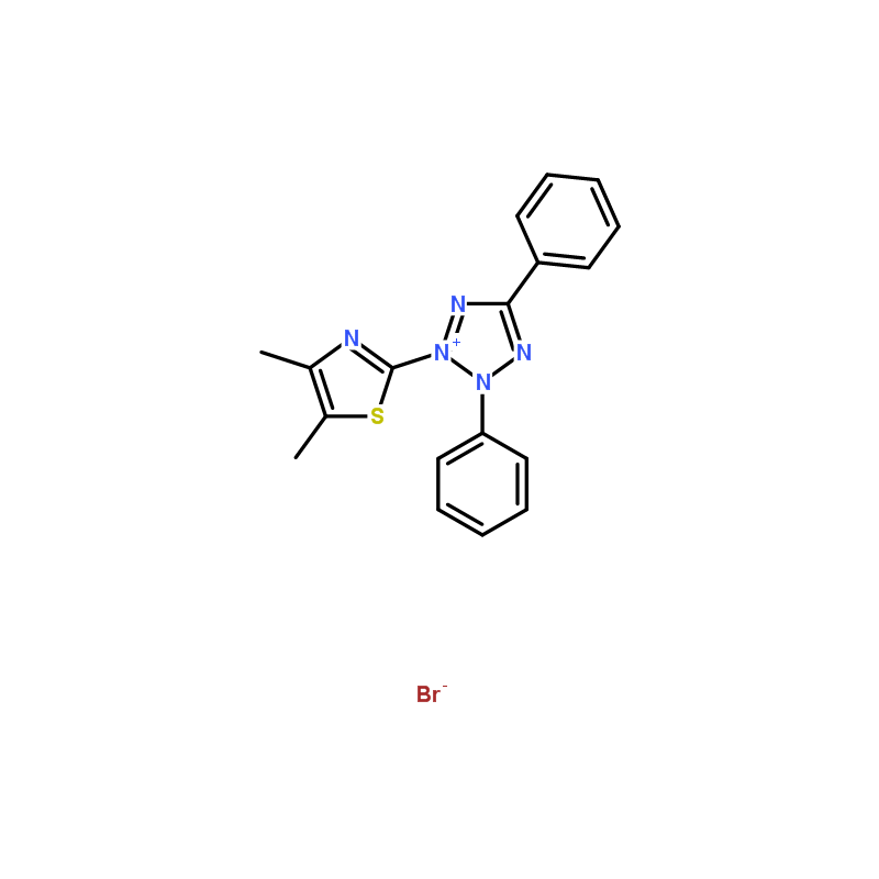 Mtt Lab