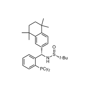 [S(R)]-N-[(S)-[2-(二环己基膦)苯基](5,6,7,8-四氢-5,5,8,8-四甲基-2-萘基)甲基]-2-叔丁基亚磺酰胺, 95%