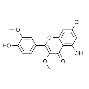 藿香黄酮醇 98%