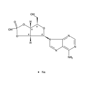 腺苷2′:3′-循环磷酸钠盐, 97%