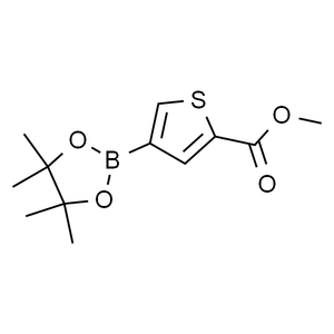 4-(4,4,5,5-四甲基-2-1,3,-二噁硼烷基)噻吩2-甲酸甲酯, 95+%