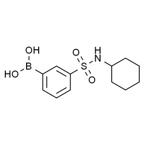 N-环己基3-硼基苯磺酰胺, 97%