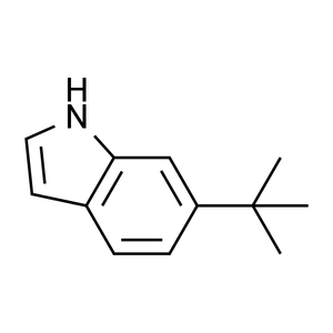 6-(叔丁基)-1H-吲哚, 95%