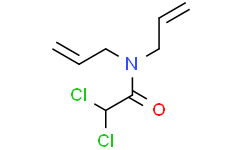 二氯丙烯胺,97%