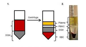 人Peripheral Blood Mononuclear Cell Isolation and Viability试剂盒(ab234628)