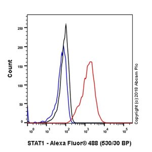 重组Anti-STAT1抗体[EPR21057-141] - BSA and Azide free (ab234904)