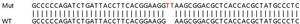 人IRF3 knockout A549 cell line (ab267098)