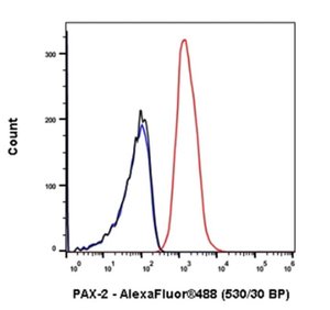 重组Anti-Pax2抗体[EP3251] (ab79389)