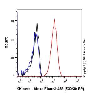 重组Anti-IKK beta抗体[EPR6043] (ab124957)