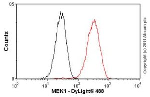 重组Anti-MEK1抗体[E342] (ab32091)